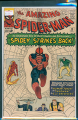 Amazing Spider-Man #19 6.5 N+ Raw Comic