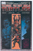 Teenage Mutant Ninja Turtles #29 9.0 VF/NM Raw Comic