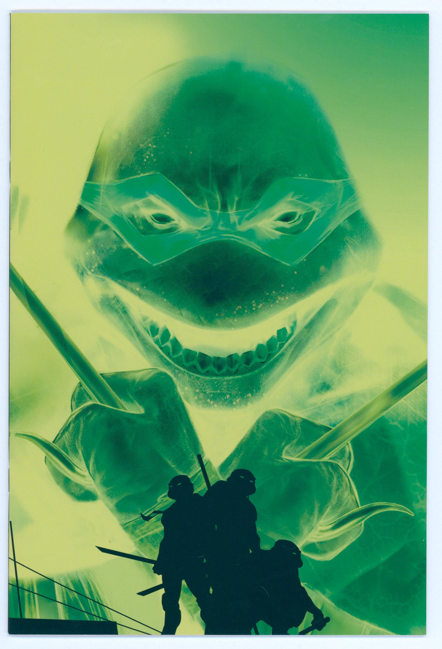 Teenage Mutant Ninja Turtles #1 Mystery Box Edition Ben Oliver Negative Variant Raw Comic