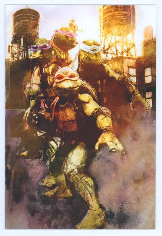 Teenage Mutant Ninja Turtles #1 Mystery Box Edition Bill Sienkiewicz Edition Raw Comic