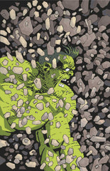 Incredible Hulk 3 Frank Miller Full Art Variant